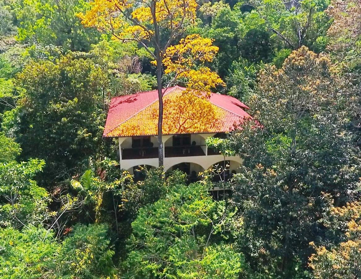 Morrillo Beach Eco Resort ภายนอก รูปภาพ