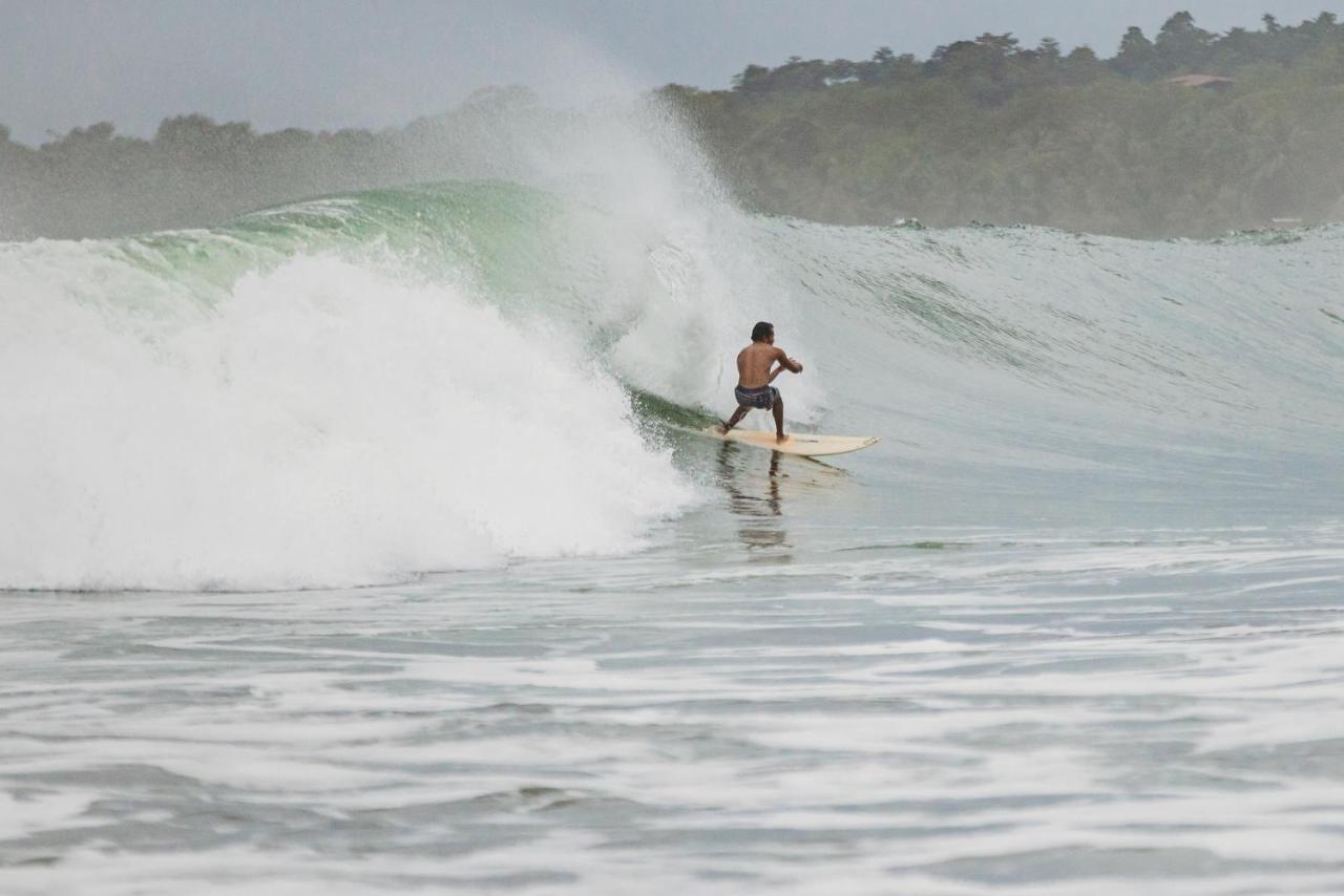 Morrillo Beach Eco Resort ภายนอก รูปภาพ