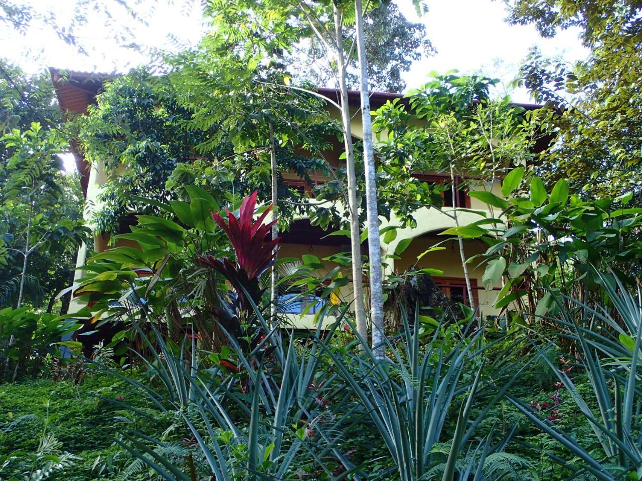 Morrillo Beach Eco Resort ภายนอก รูปภาพ