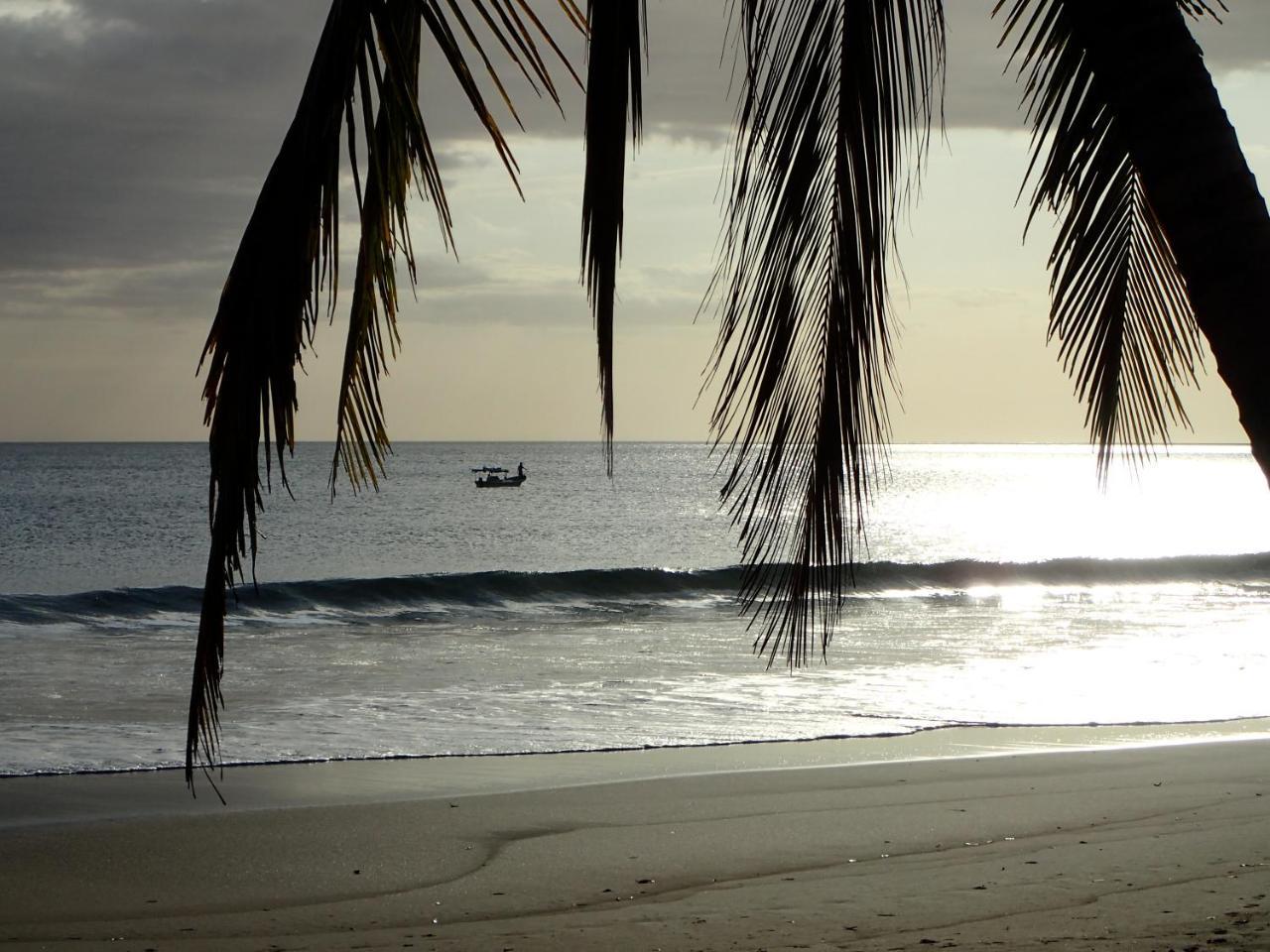 Morrillo Beach Eco Resort ภายนอก รูปภาพ