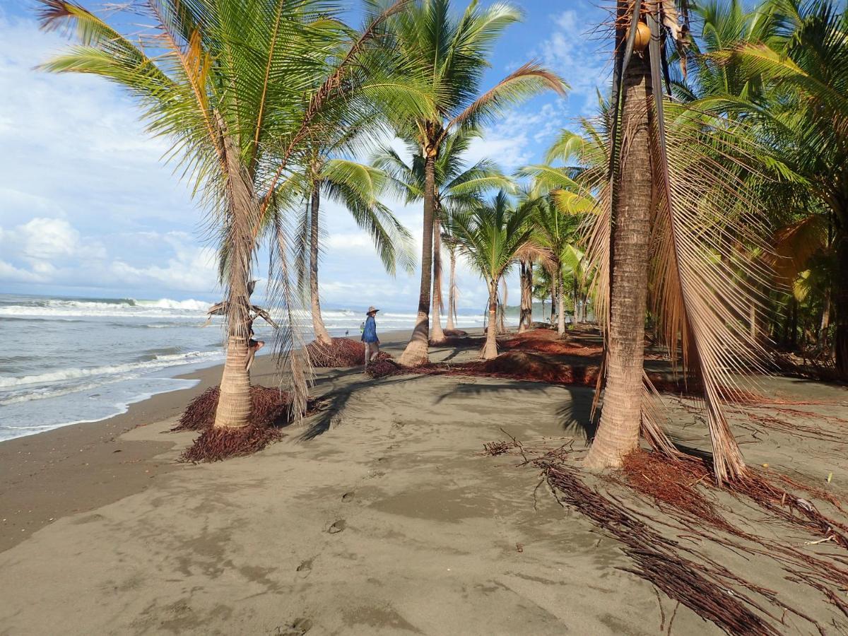 Morrillo Beach Eco Resort ภายนอก รูปภาพ